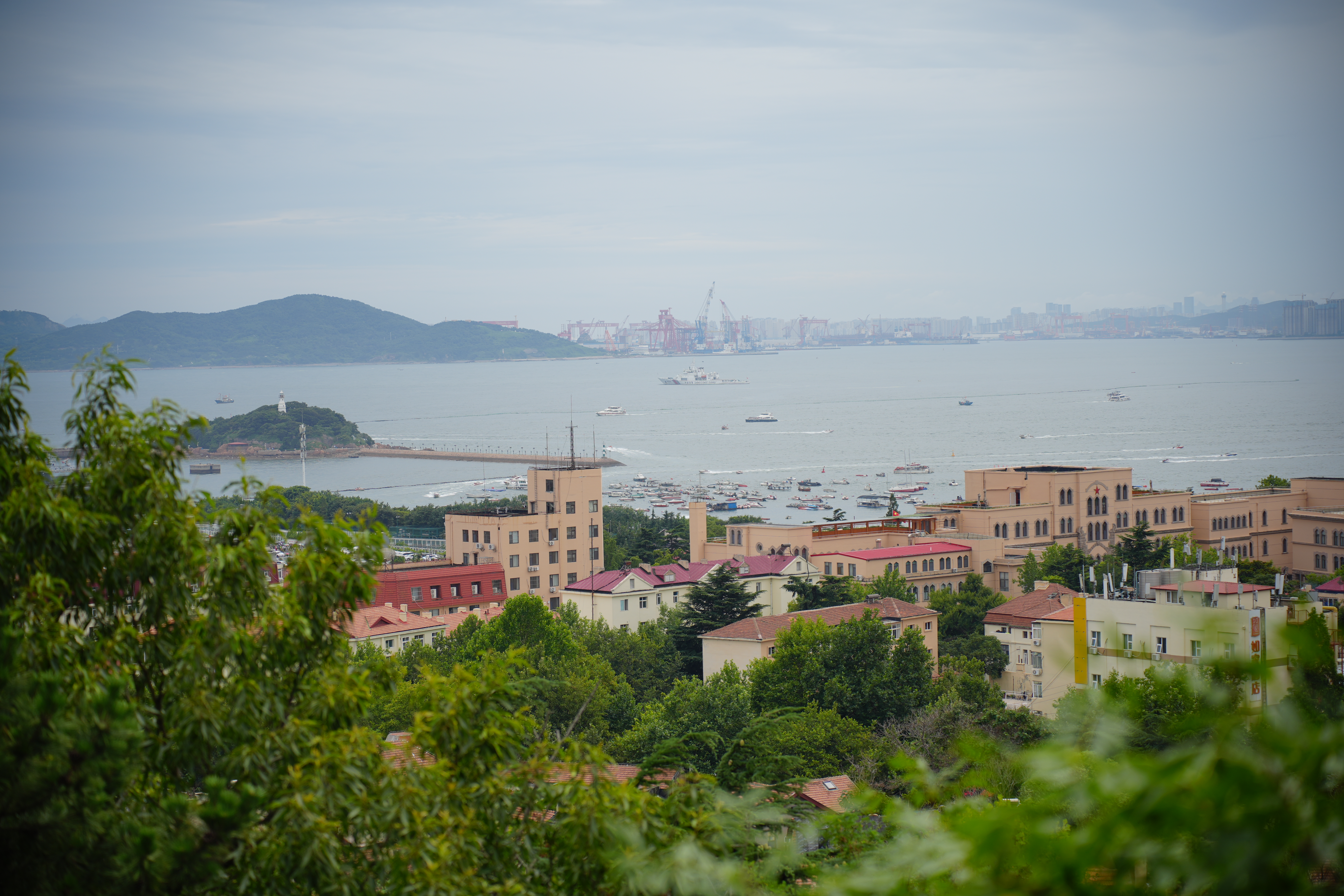 山东 - DSC04670.JPG