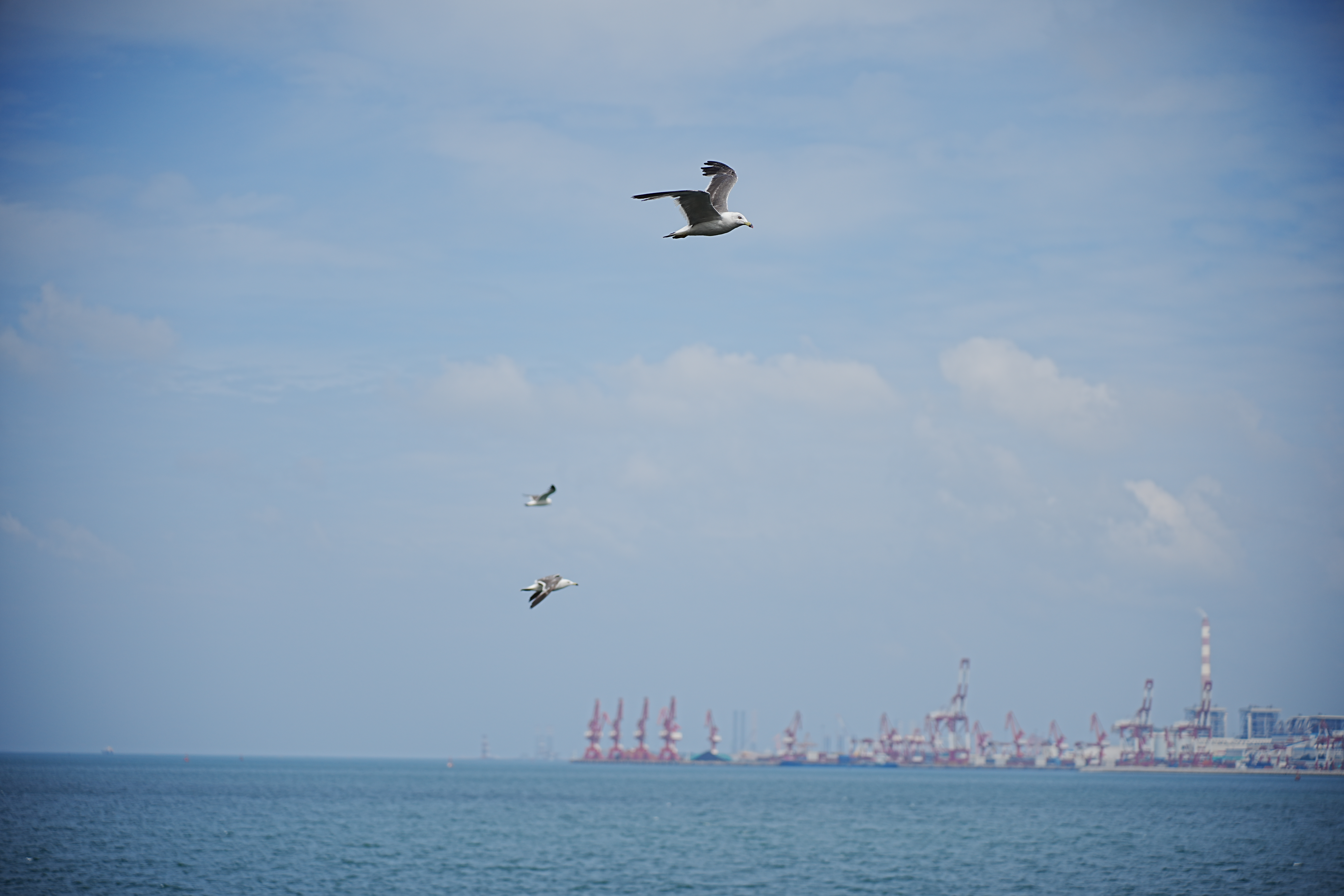 山东 - DSC07644.JPG
