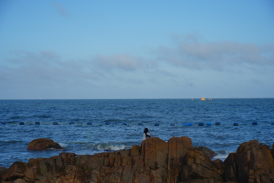 山东 - DSC06114.JPG