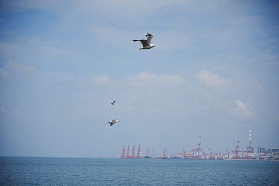 山东 - DSC07644.JPG