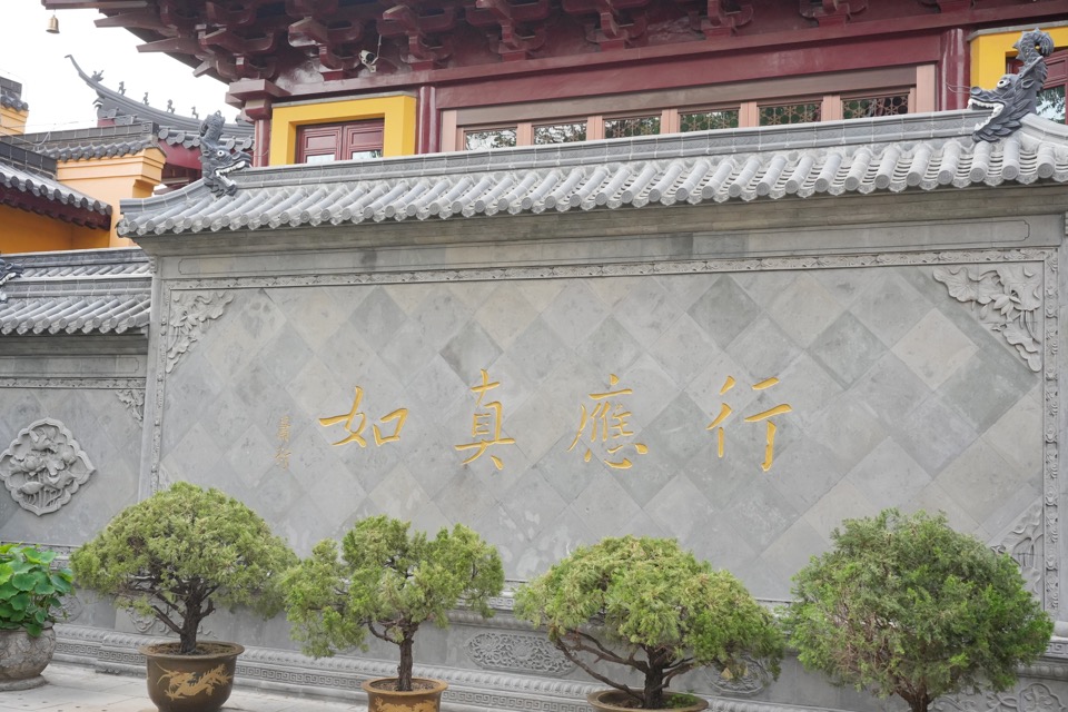 南京 - DSC05599.JPG