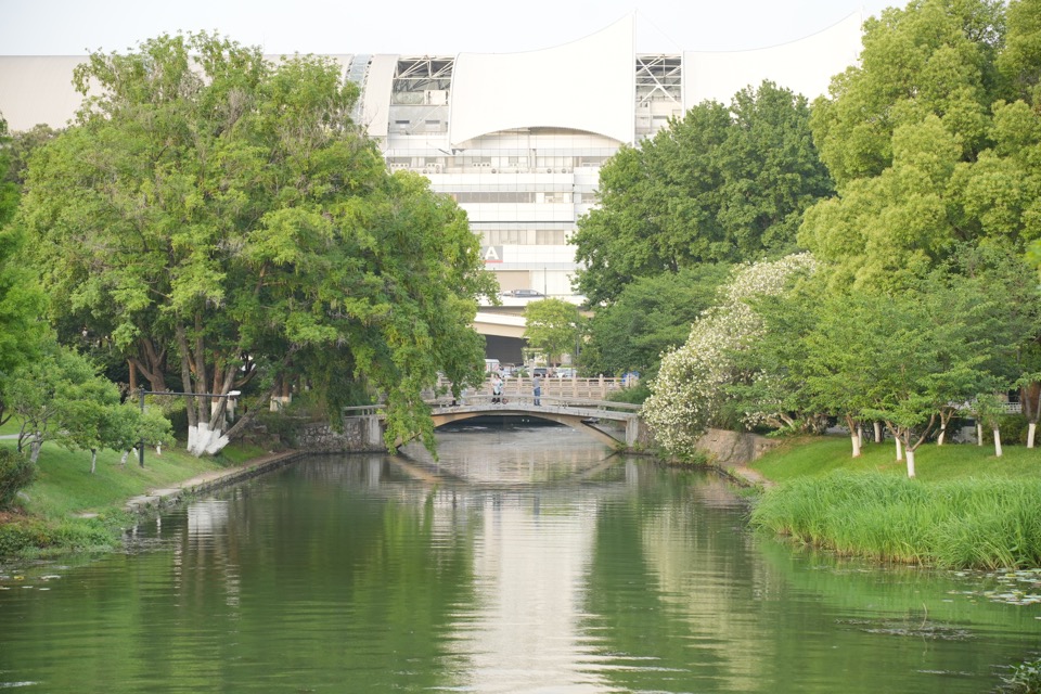 南京 - DSC05702.JPG